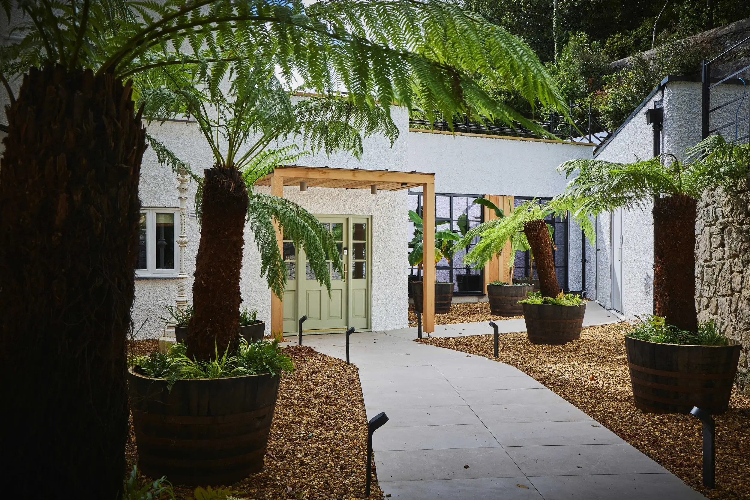 Exterior walkway lined with large barrel planters holding tall ferns, leading to a green entrance door beneath a wooden pergola.